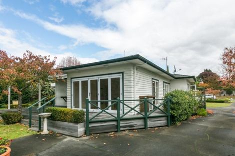 Photo of property in 41 Mchardy Street, Havelock North, 4130