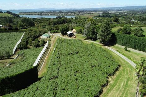 Photo of property in 6 Woodland Road, Johnsonville, Wellington, 6037