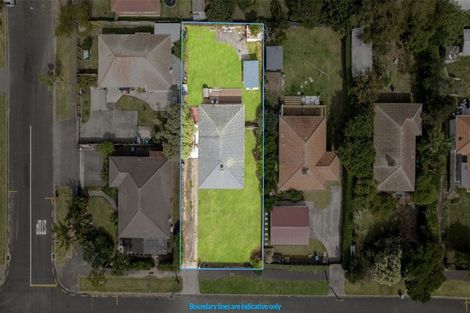 Photo of property in 51 Anderson Avenue, Point England, Auckland, 1072