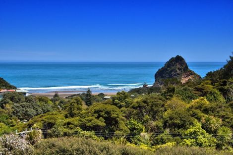 Photo of property in 105 Seaview Road, Piha, 0772