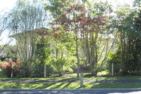 Photo of property in 61 Wellington Street, Hamilton East, Hamilton, 3216