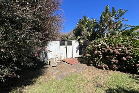 Photo of property in 21 Park Lane, Waitara, 4320