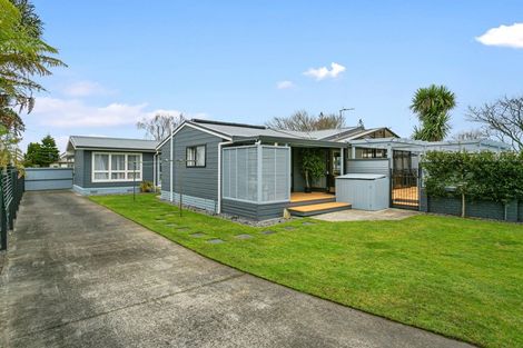 Photo of property in 35 Elizabeth Street, Matamata, 3400
