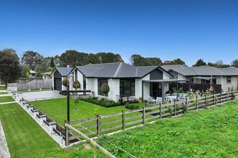 Photo of property in 5 Haig Road, Matamata, 3400