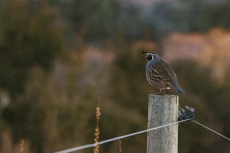Photo of property in 217 Stevenson Road, Wanaka, 9382