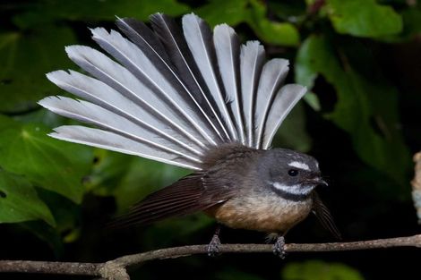 Photo of property in 91a Bald Hill Road, Waiuku, Pukekohe, 2678