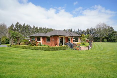 Photo of property in 420 Mcivor Road, Myross Bush, Invercargill, 9876