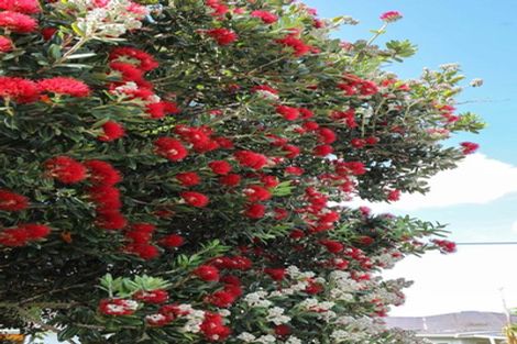 Photo of property in 26 East Avenue, Te Aroha, 3320