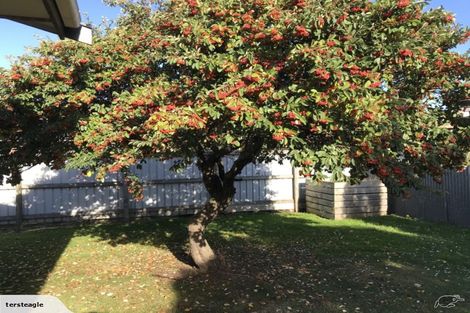 Photo of property in 48a Church Street, Mosgiel, 9024