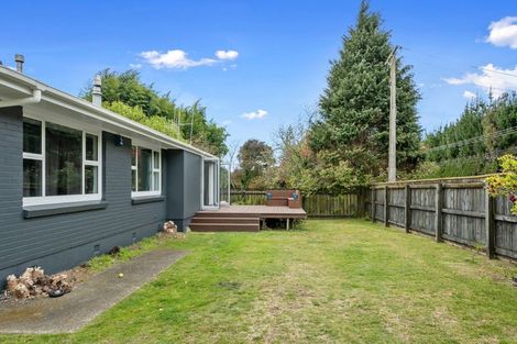 Photo of property in 136 No 2 Road, Te Puke, 3182