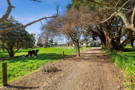 Photo of property in 177 Puniho Road, Warea, New Plymouth, 4381