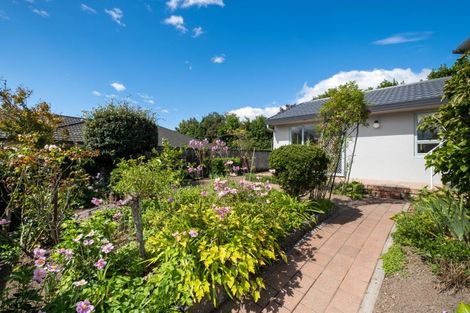 Photo of property in 3/42 Campbell Street, Havelock North, 4130