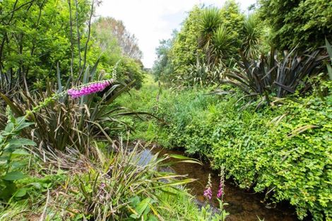 Photo of property in 81a Savage Road, Waihi, 3610