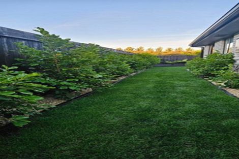 Photo of property in 17 Kereruu Street, Cambridge, 3434