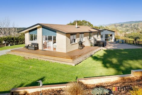 Photo of property in 787 State Highway 2, Tanners Point, Katikati, 3170