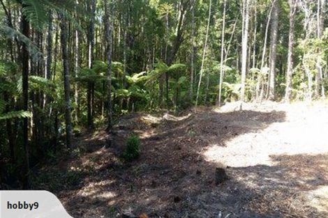 Photo of property in 19 Hobson Road, Lucas Heights, Auckland, 0632