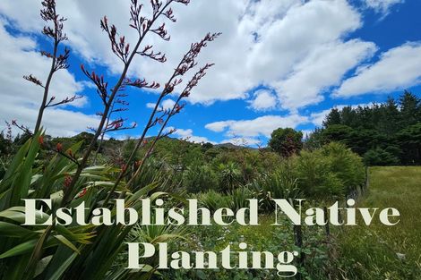 Photo of property in 1296 Wekaweka Road, Waimamaku, Kaikohe, 0473