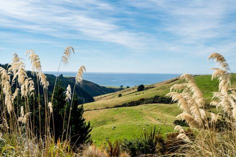 Photo of property in 689 Big Stone Road, Kuri Bush, Dunedin, 9091