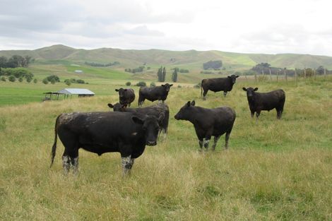 Photo of property in 359 Mangatarata Road, Waipukurau, 4285