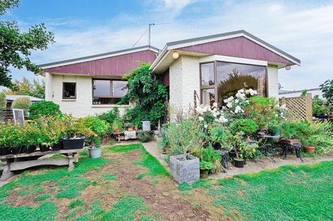 Photo of property in 395 Racecourse Road, Hargest, Invercargill, 9810