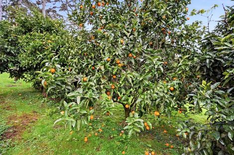 Photo of property in 497a Tara Road, Mangawhai, 0573