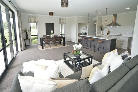 Photo of property in 31 Webster Road, Matangi, Hamilton, 3284