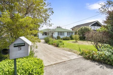 Photo of property in 5 Hammond Street, Bulls, 4818