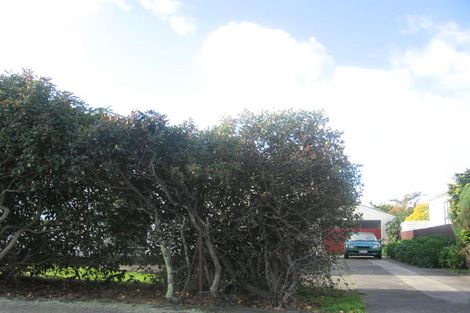 Photo of property in 47 Burns Avenue, Takaro, Palmerston North, 4412