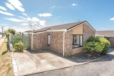 Photo of property in 101a Portal Street, Durie Hill, Whanganui, 4500