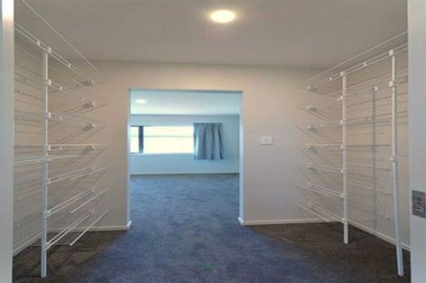 Photo of property in 55 Zabeel Street, Lincoln, 7608