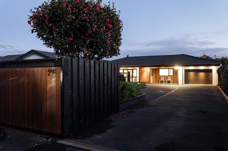 Photo of property in 215 Bay View Road, Saint Clair, Dunedin, 9012