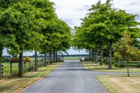 Photo of property in 170 Tinwald Westerfield Mayfield Road, Tinwald, Ashburton, 7771