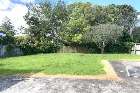 Photo of property in 60 Webster Avenue, Mount Roskill, Auckland, 1041