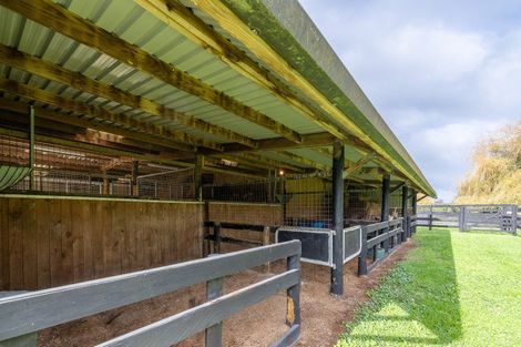 Photo of property in 204 Racecourse Road, Cambridge, 3493