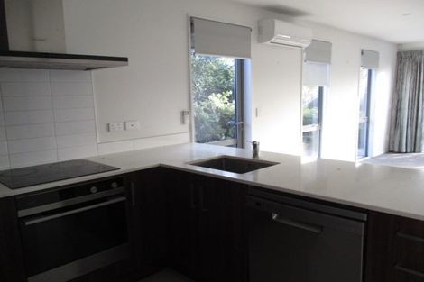 Photo of property in 33a Ruskin Street, Addington, Christchurch, 8024