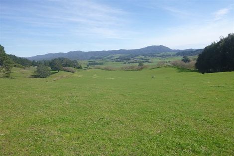 Photo of property in 118 Pukewera Road, Waihi, 3682