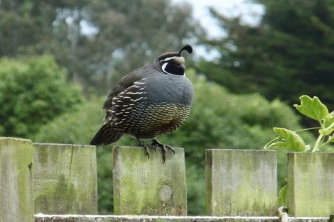 Photo of property in 11 Hapuku Road, Hapuku, Kaikoura, 7371