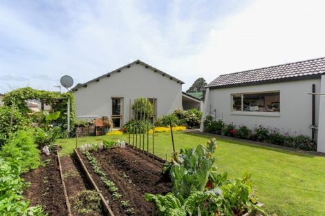 Photo of property in 6 Iwa Iti Street, Waitara, 4320