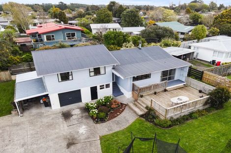 Photo of property in 33 Heatley Avenue, Hokowhitu, Palmerston North, 4410