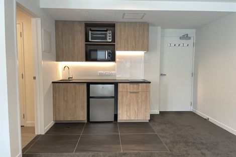 Photo of property in Pinnacle Apartments, W303/160 Victoria Street, Te Aro, Wellington, 6011