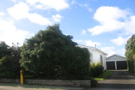 Photo of property in 49 Burns Avenue, Takaro, Palmerston North, 4412