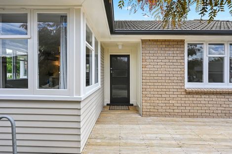 Photo of property in 124 Clarkin Road, Fairfield, Hamilton, 3214