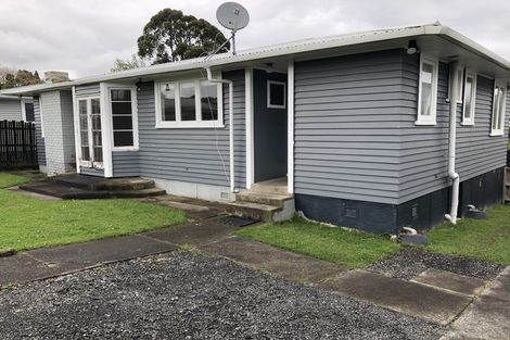 Photo of property in 12 Adriatic Avenue, Henderson, Auckland, 0612