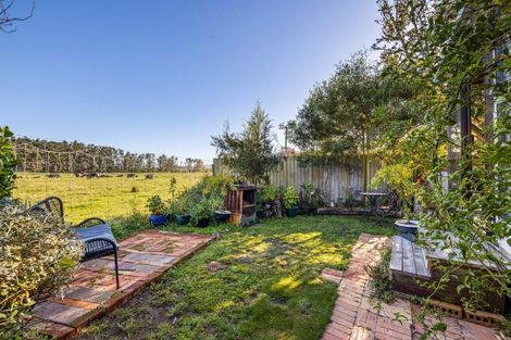 Photo of property in 52 Grierson Avenue, Amberley, 7481