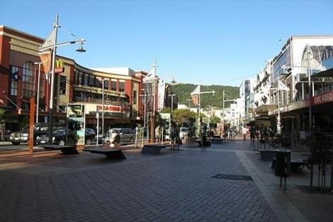 Photo of property in Courtenay Apartments, 606/120 Courtenay Place, Te Aro, Wellington, 6011