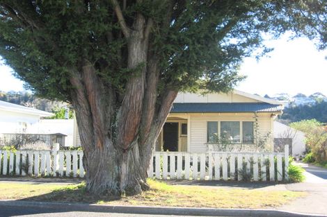 Photo of property in 30 Carnell Street, Napier South, Napier, 4110