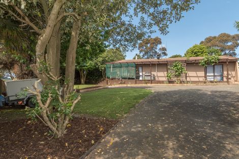 Photo of property in 36 Wylie Street, Gate Pa, Tauranga, 3112