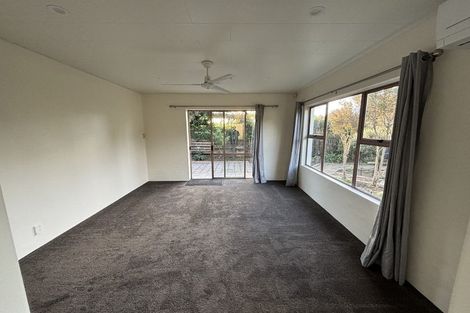 Photo of property in 28a Von Dadelszen Place, Havelock North, 4130