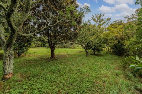 Photo of property in 47 Pook Road, Buckland, Pukekohe, 2677
