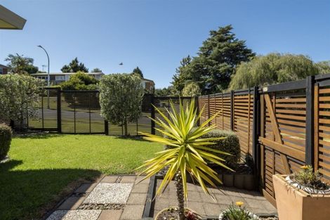 Photo of property in 38a The Drive, Brookfield, Tauranga, 3110